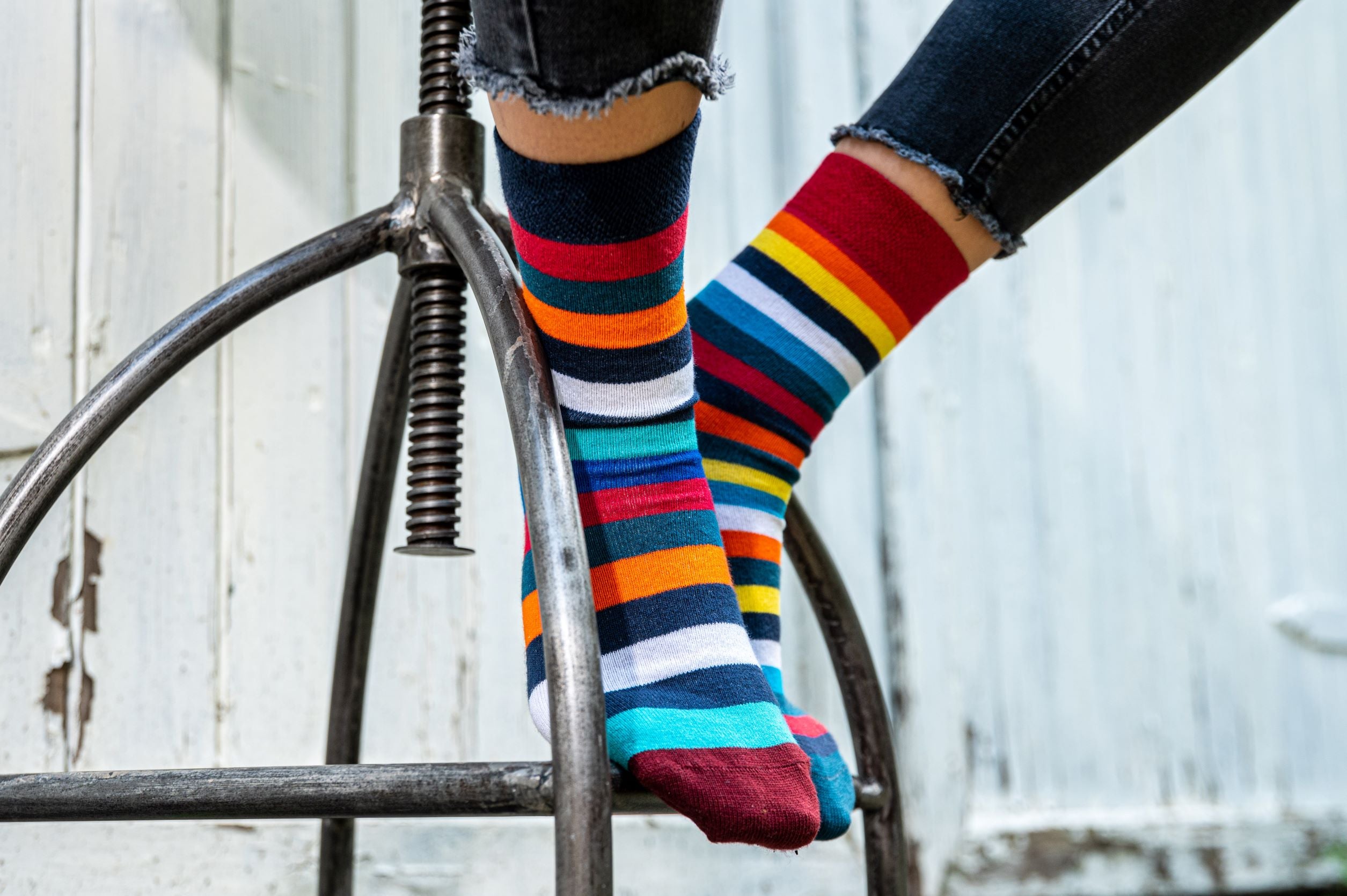 BUXandSOX - Streifensocken in der 5-er Box kaufen